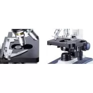 ميكروسكوپ دوچشمی زیستی مدل AMscope B120