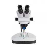 dsm3000 1