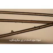 ميكروسكوپ تک چشمی دانش‌آموزی STM-1400