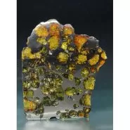 شهابسنگ کمیاب برش خورده Pallasite