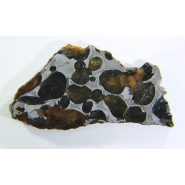 pallasite meteorite stone 6