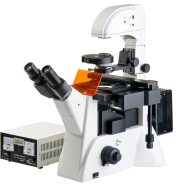 میکروسکوپ معکوس آزمایشگاهی، تحقیقاتی با نور فلوروسنت مدل XDY-2