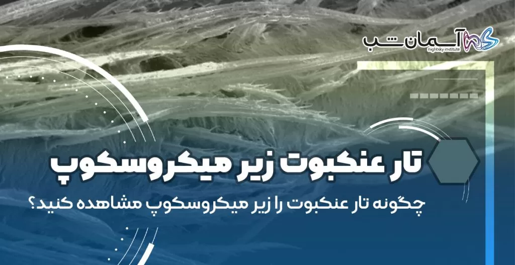 چگونه تار عنکبوت را زیر میکروسکوپ مشاهده کنید؟