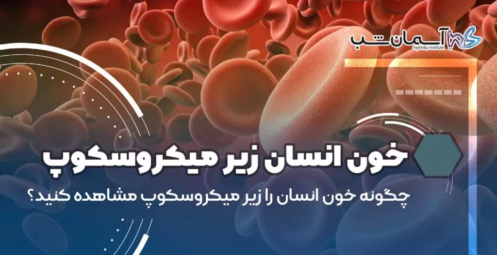 چگونه خون انسان را زیر میکروسکوپ مشاهده کنید؟