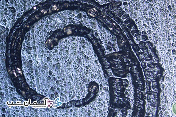 تصویر فلز زیر میکروسکوپ