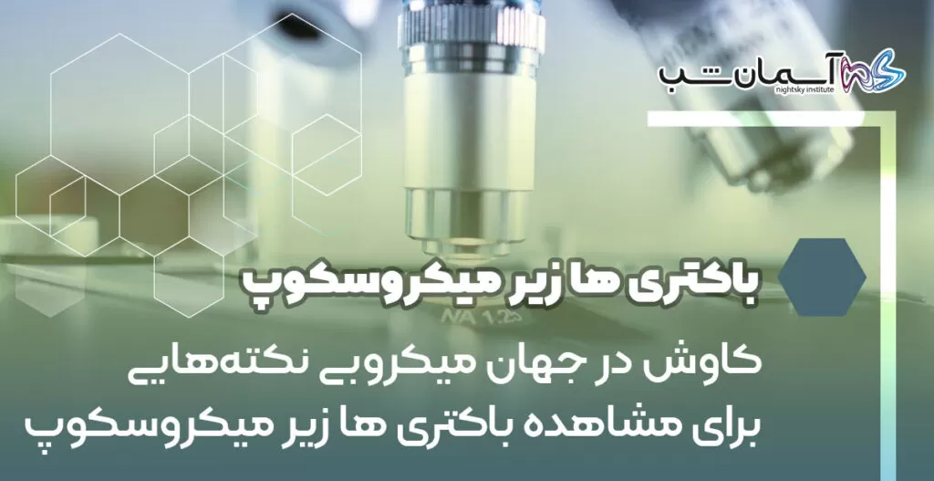 کاوش در جهان میکروبی نکته‌هایی برای مشاهده باکتری‌ ها زیر میکروسکوپ