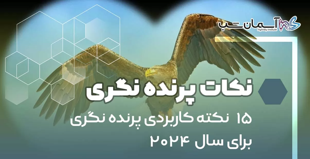 ۱۵ نکته کاربردی پرنده نگری برای سال ۲۰۲۴