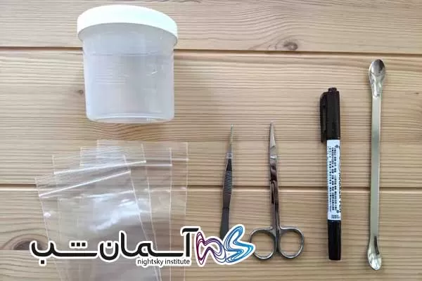 چگونه تاردیگرادها خرس های آبی را پیدا کنیم 2 ابزار موردنیاز