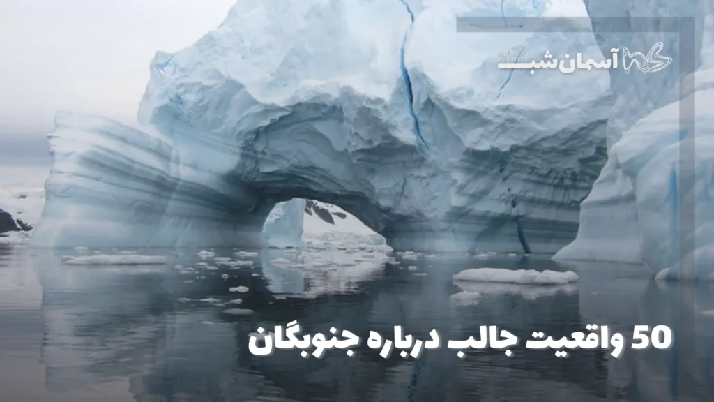 ۵۰ واقعیت جالب درباره جنوبگان