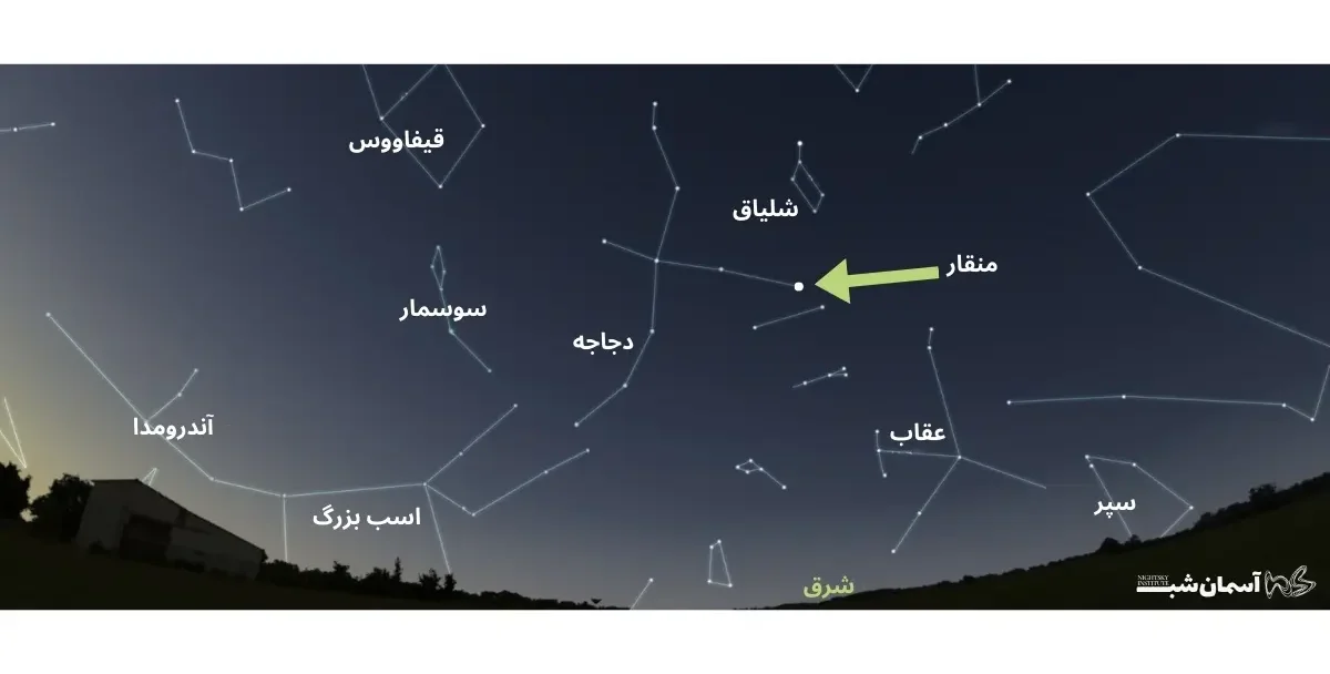 منقار
